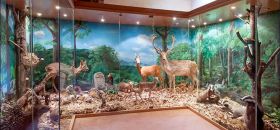 Museo Forestale "Carlo Siemoni"